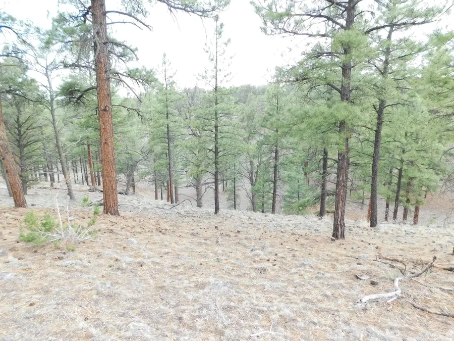 S2 Leon Dr, Quemado, NM 87829 - #3