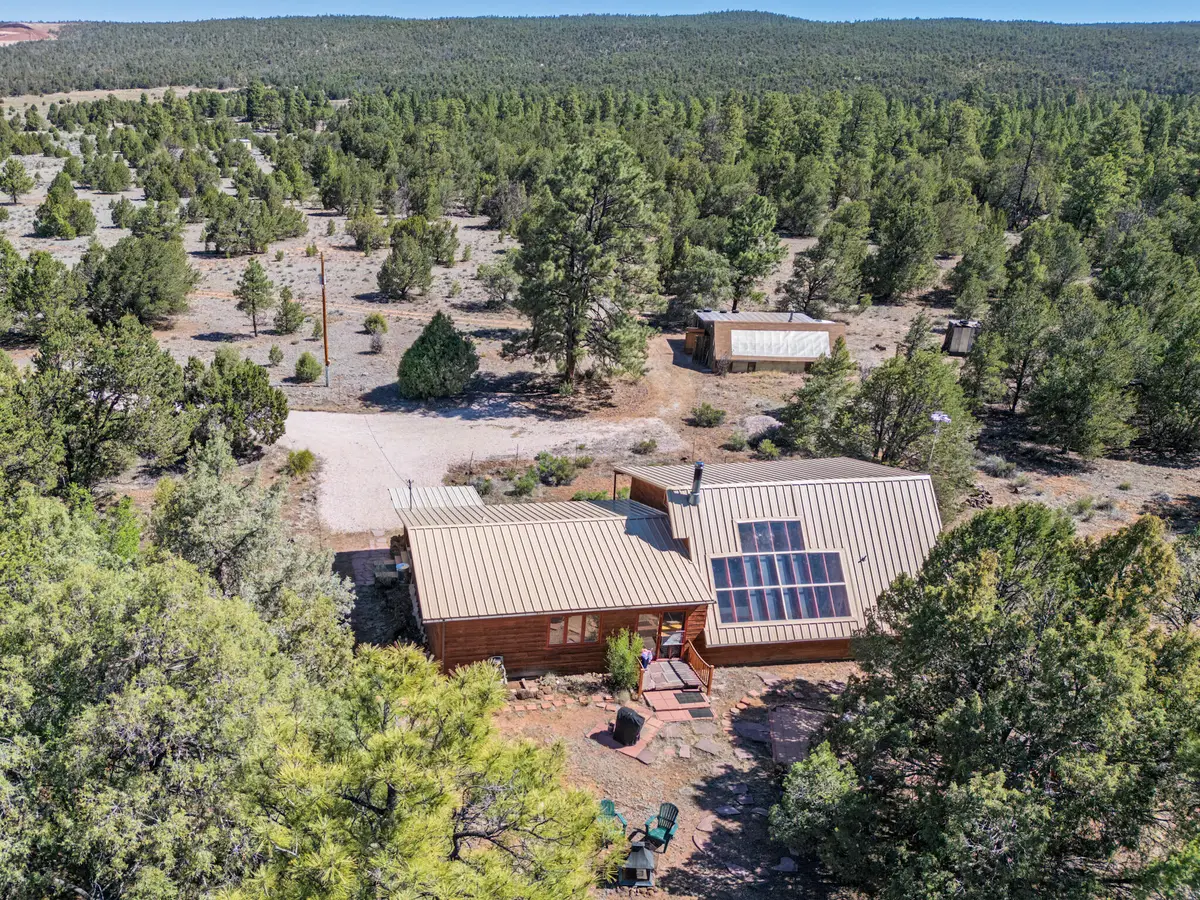 3368 Ice Caves Road, Ramah, NM 87321 - #1