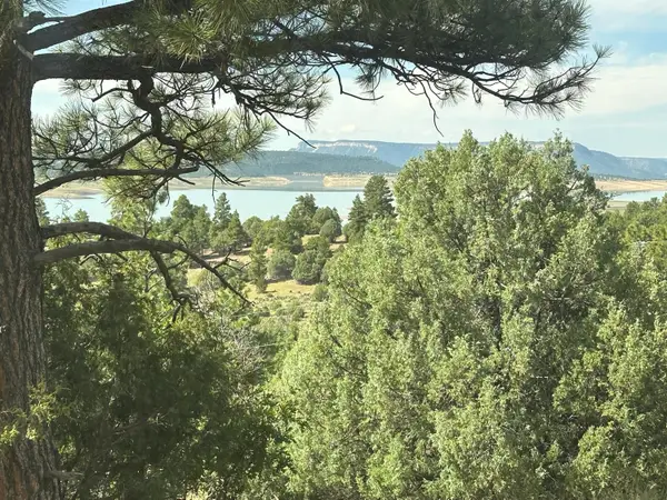 000 Canyon Road, Los Ojos, NM 87551