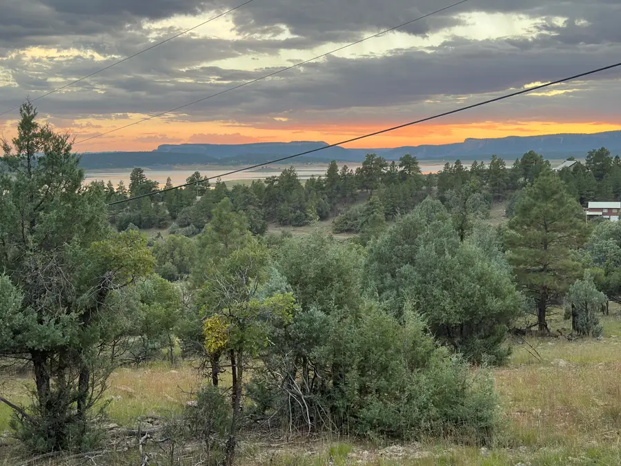 000 Canyon Road, Los Ojos, NM 87551 - #2
