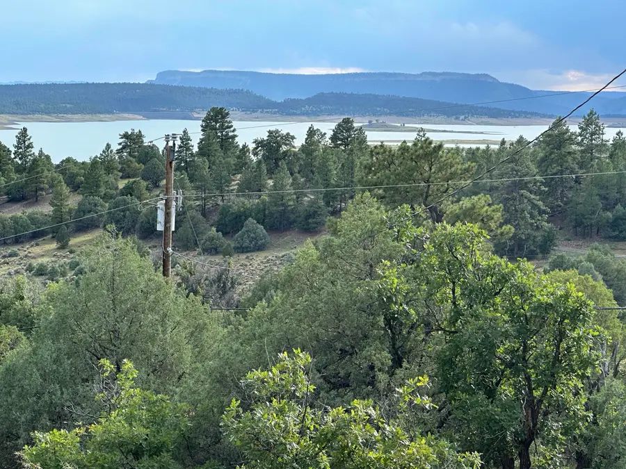 000 Canyon Road, Los Ojos, NM 87551 - #3