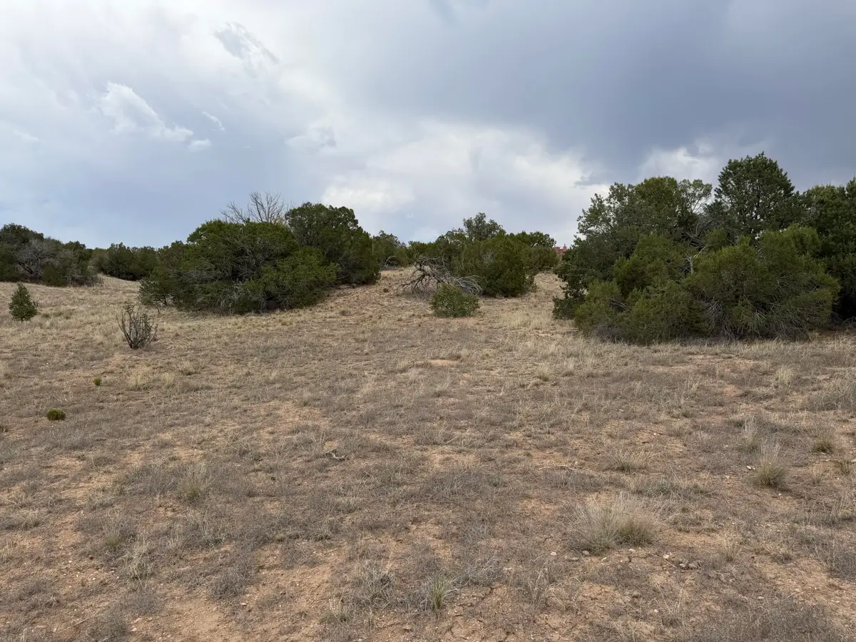 Lot 24 Stagecoach Trail, Sandia Park, NM 87047 - #1