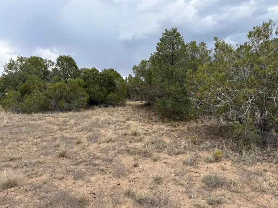 Lot 24 Stagecoach Trail, Sandia Park, NM 87047 - #2