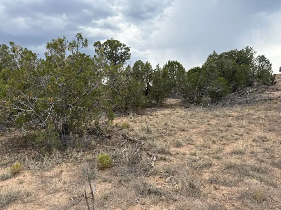 Lot 24 Stagecoach Trail, Sandia Park, NM 87047 - #3
