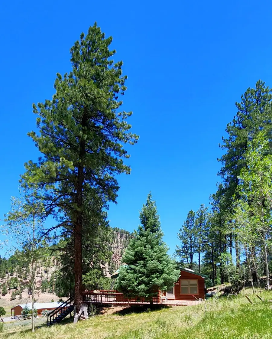 152 Sedillo Hill Road, Cuba, NM 87013 - #3