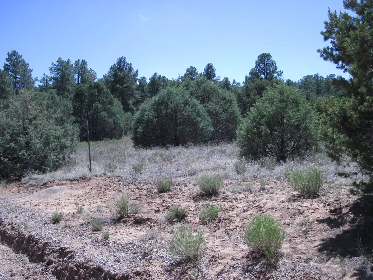 16 Camino Circular, Tijeras, NM 87059 - #1