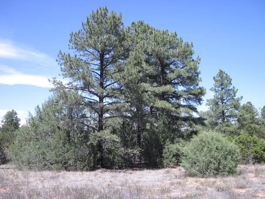 16 Camino Circular, Tijeras, NM 87059 - #2