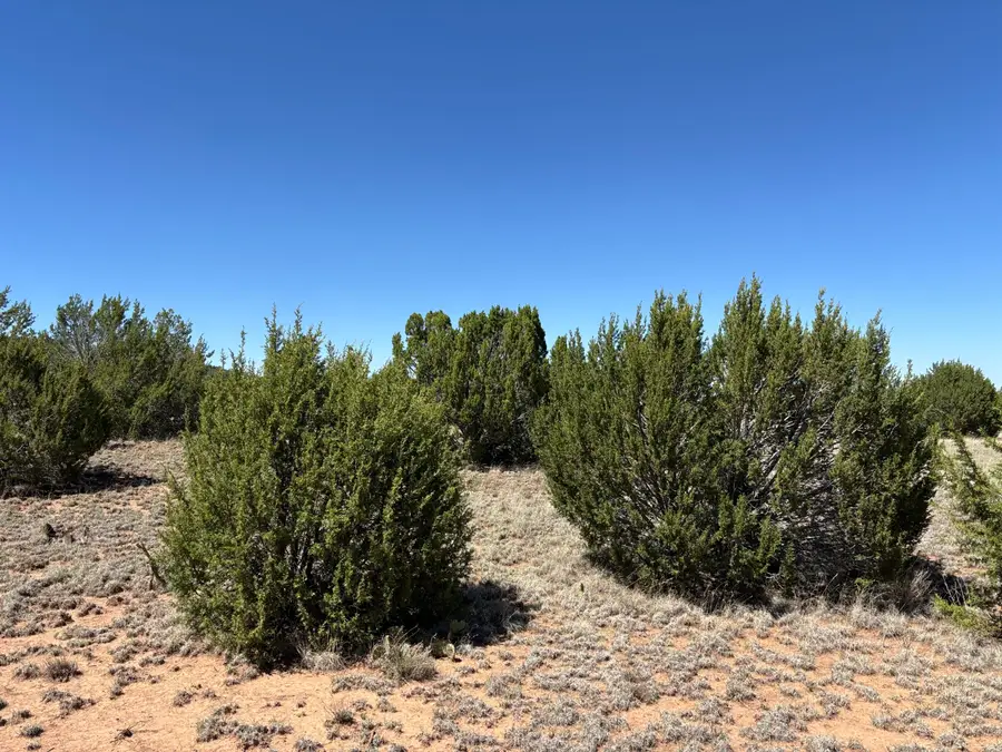 Dos Lunas Drive, Tajique, NM 87016 - #3