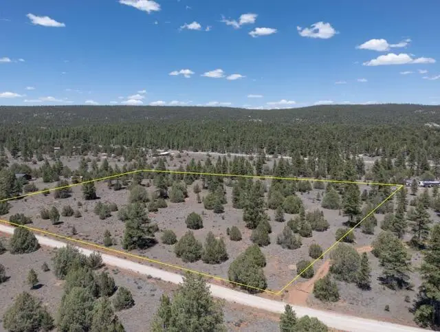 Lot 21 Cottonwood Lane, Ramah, NM 87321 - #1