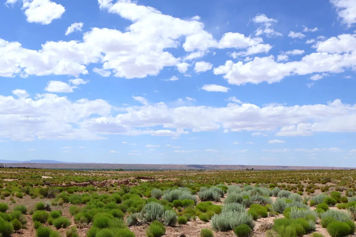 Lot 3 Rio Grande Estates, Veguita, NM 87062 - #1