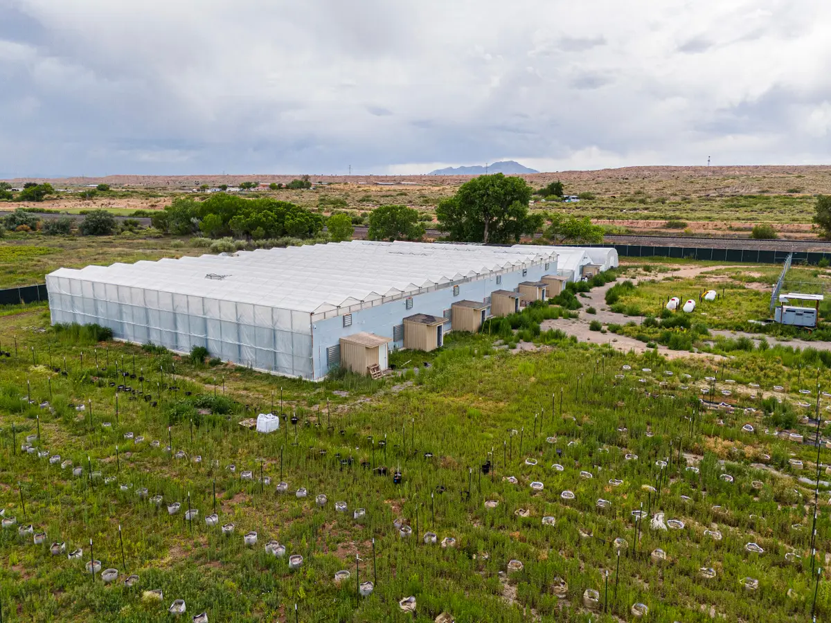 510 Nm-116, Bosque, NM 87006 - #1