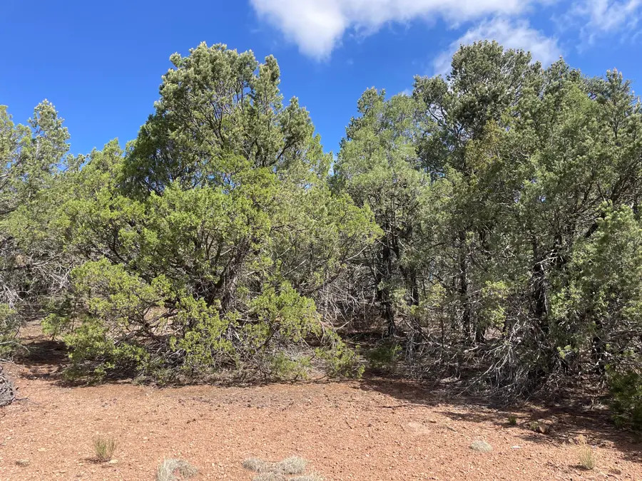 119 Anaya Road, Tijeras, NM 87059 - #3