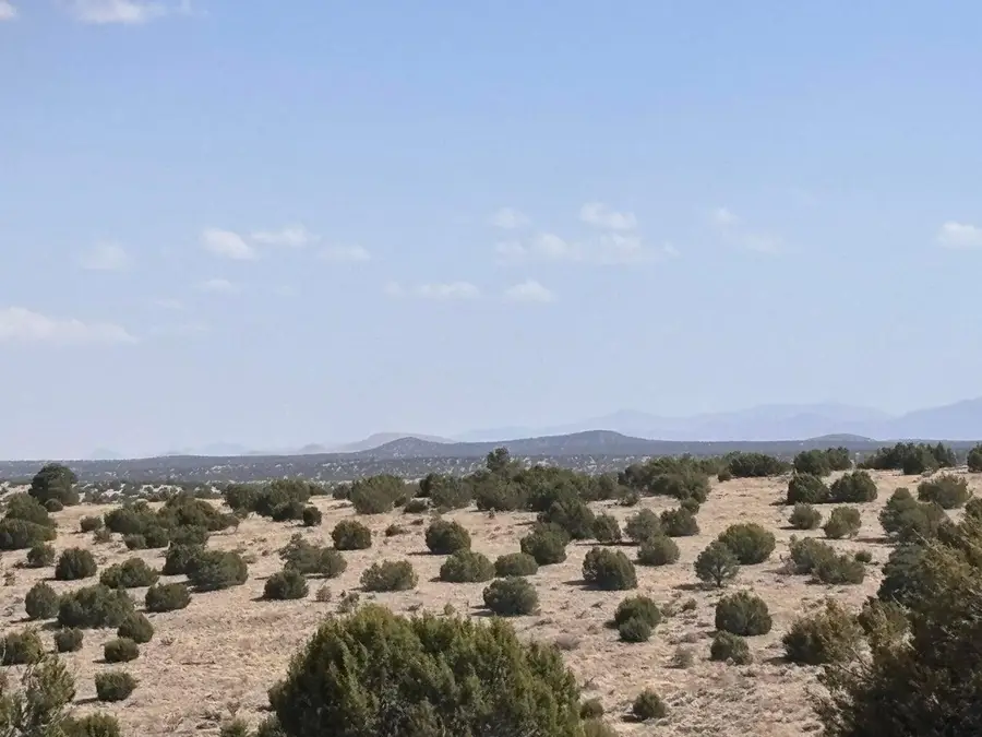 Lot 173 Campfire Rd Road, Magdalena, NM 87825 - #3