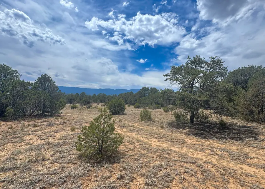 8 Straughan Court, Edgewood, NM 87015 - #2