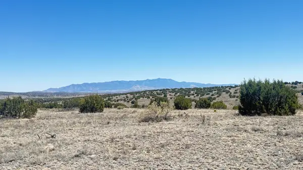 Lot 161 Pinon Springs, Magdalena, NM 87825