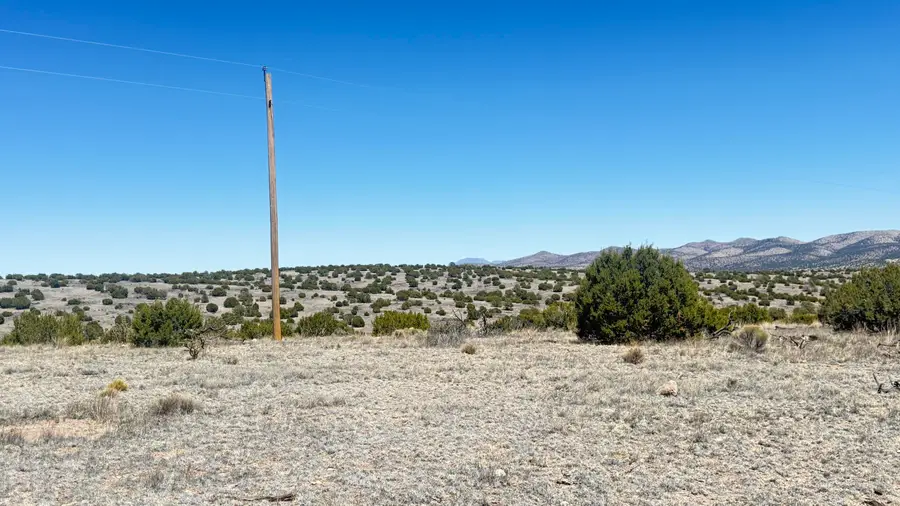 Lot 161 Pinon Springs, Magdalena, NM 87825 - #2