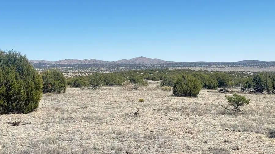 Lot 161 Pinon Springs, Magdalena, NM 87825 - #3