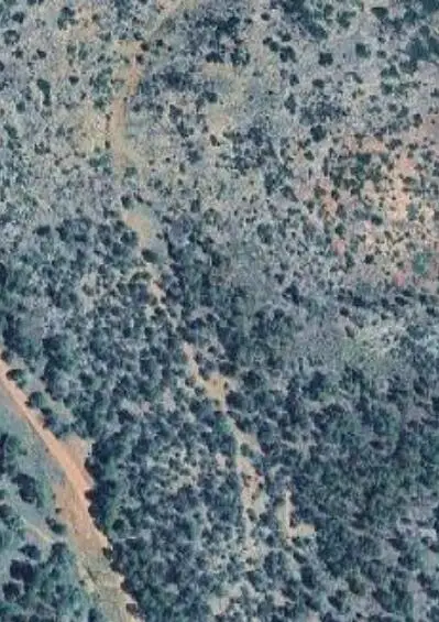 Lot 22 La Jara Springs, Estancia, NM 87016 - #1