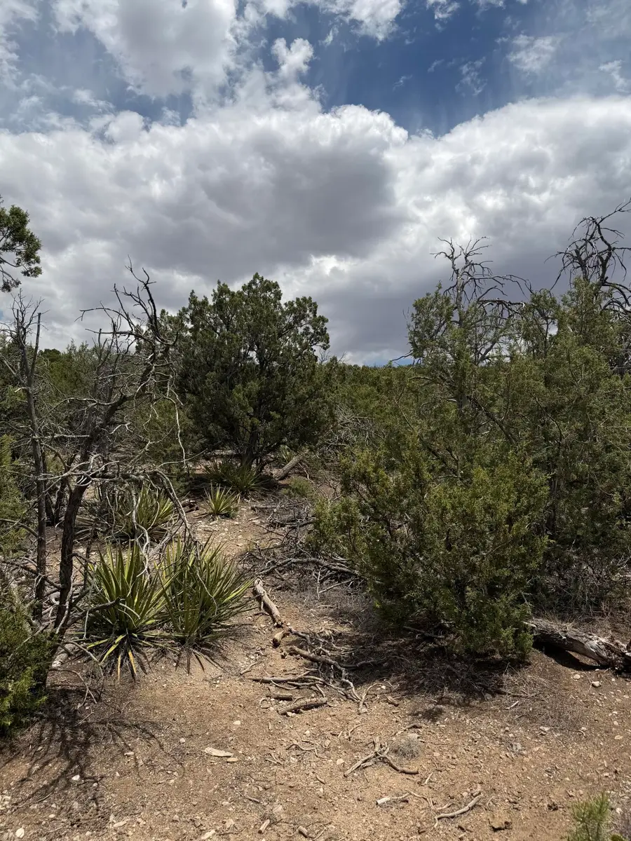 0 County Line Road, Edgewood, NM 87015 - #3