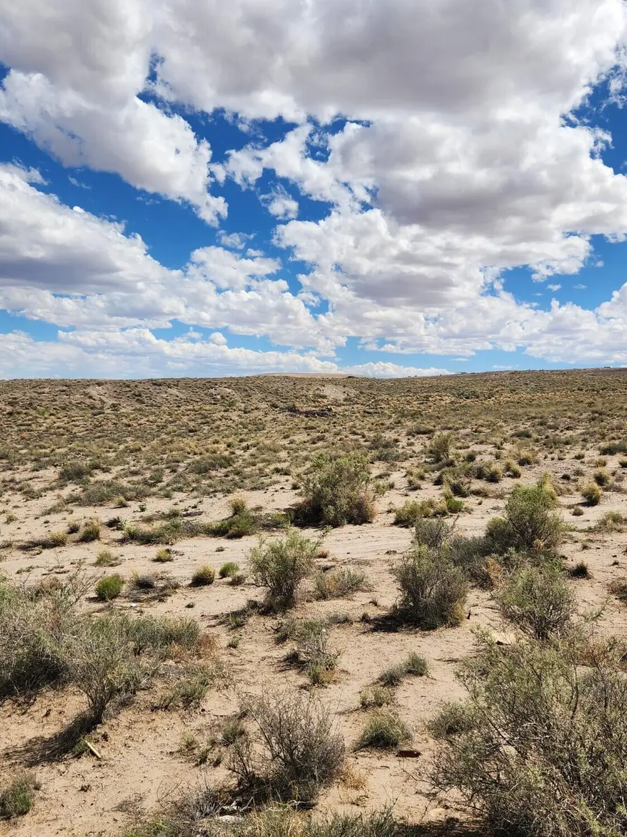 On Pajarito (dfw) Road Sw, Albuquerque, NM 87121 - #3