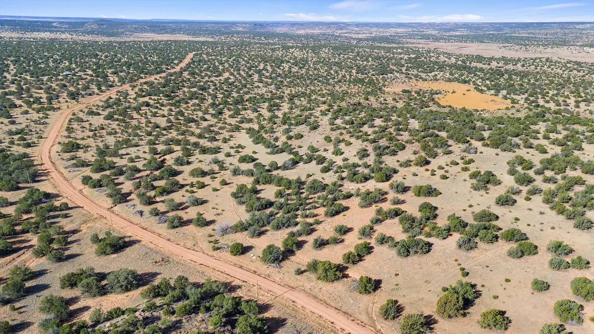 1779 Lost Saddle Loop, Santa Rosa, NM 88435 - #1