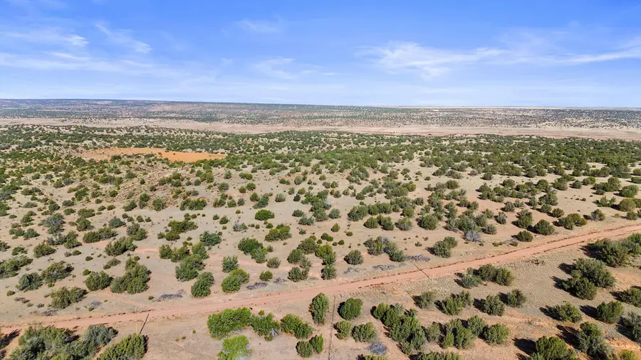 1779 Lost Saddle Loop, Santa Rosa, NM 88435 - #3