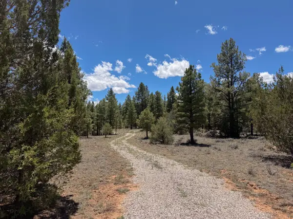 90 Cottonwood Drive, Ramah, NM 87321
