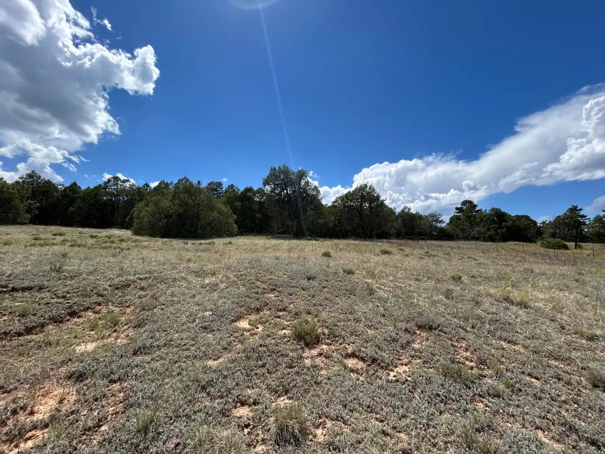 10347 Nm 337, Tijeras, NM 87059 - #1