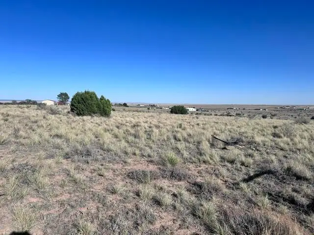 N Weimer North Road, Stanley, NM 87056 - #1