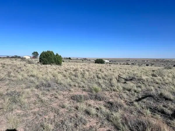 N Weimer North Road, Stanley, NM 87056