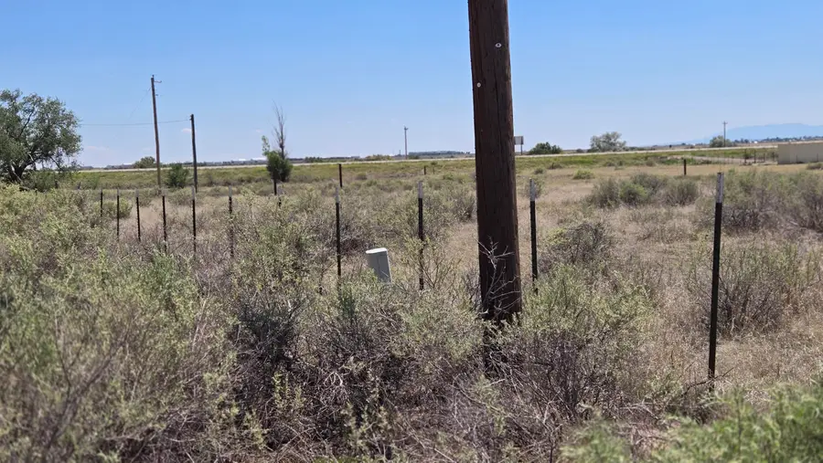 Abrahames Street, Moriarty, NM 87035 - #3