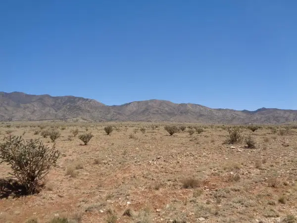 Tinto Road, Belen, NM 87002