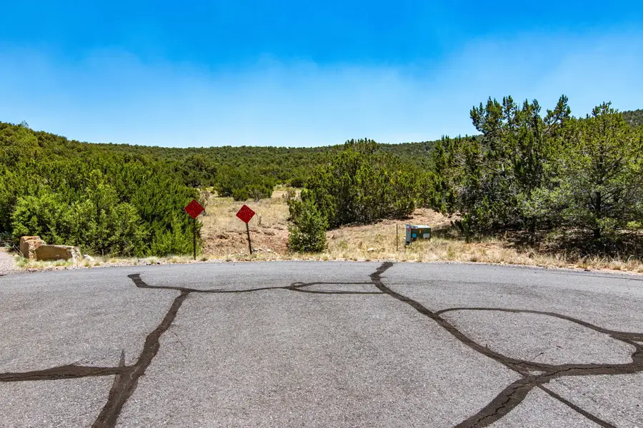 45 Canon Escondido Place, Sandia Park, NM 87047 - #2