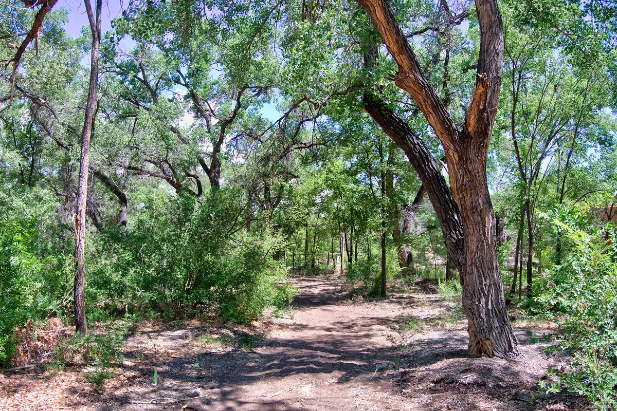 B1-B Lands Of Mullens, Corrales, NM 87048 - #1