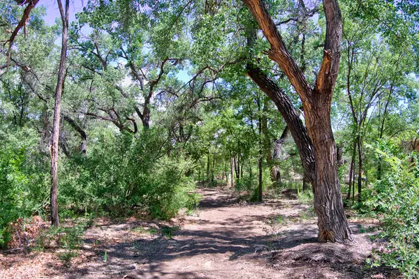 B1-B Lands Of Mullens, Corrales, NM 87048