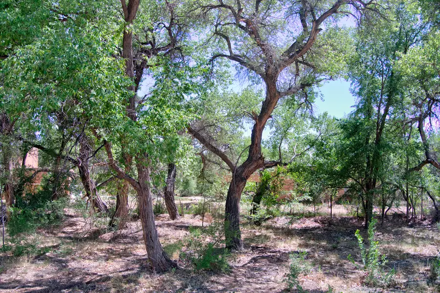 B1-B Lands Of Mullens, Corrales, NM 87048 - #2