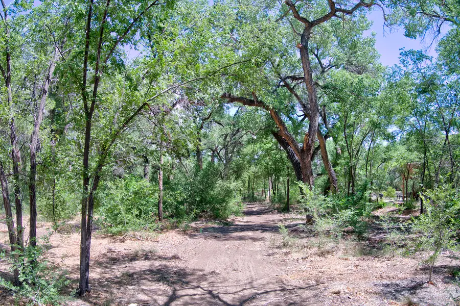 B1-B Lands Of Mullens, Corrales, NM 87048 - #3