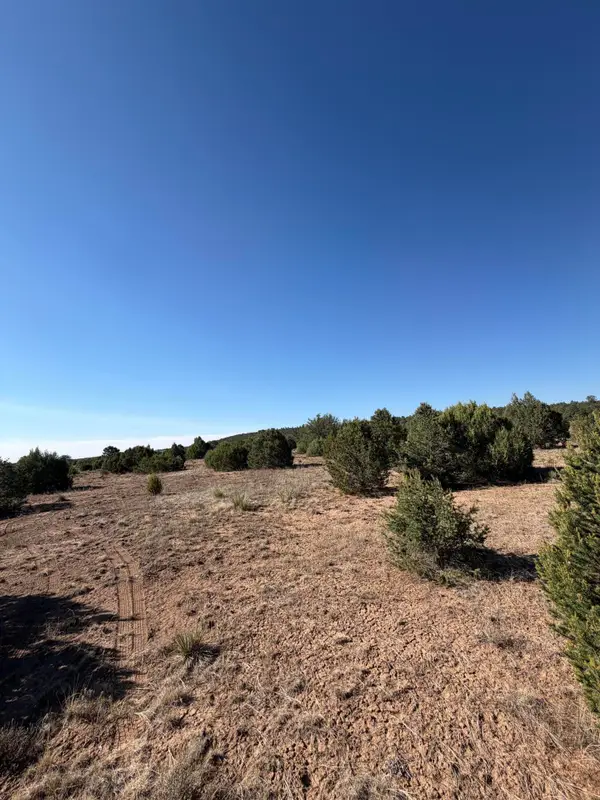 16 Tr A-1,2,3&4land Of Augustine Drive Ne, Tijeras, NM 87059