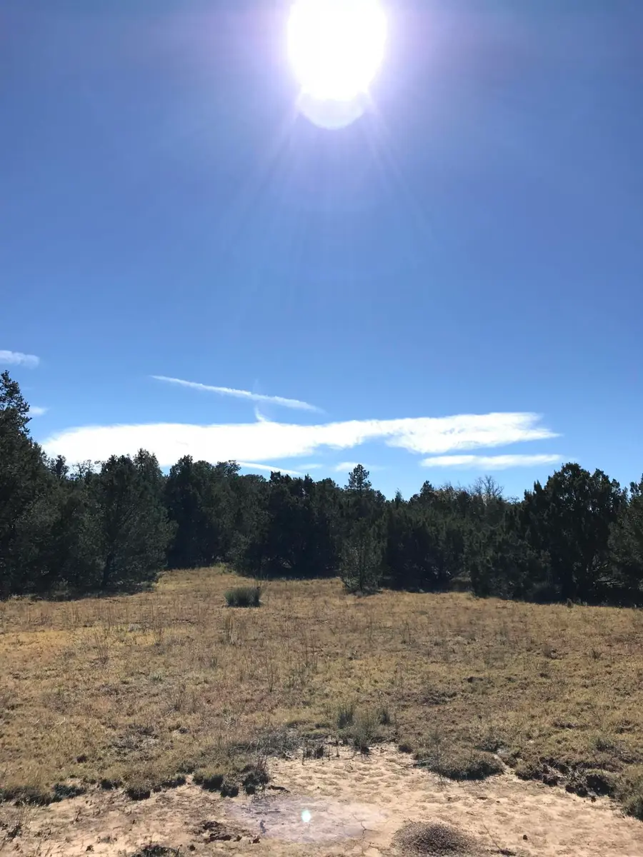 16 Tr A-1,2,3&4land Of Augustine Drive Ne, Tijeras, NM 87059 - #3