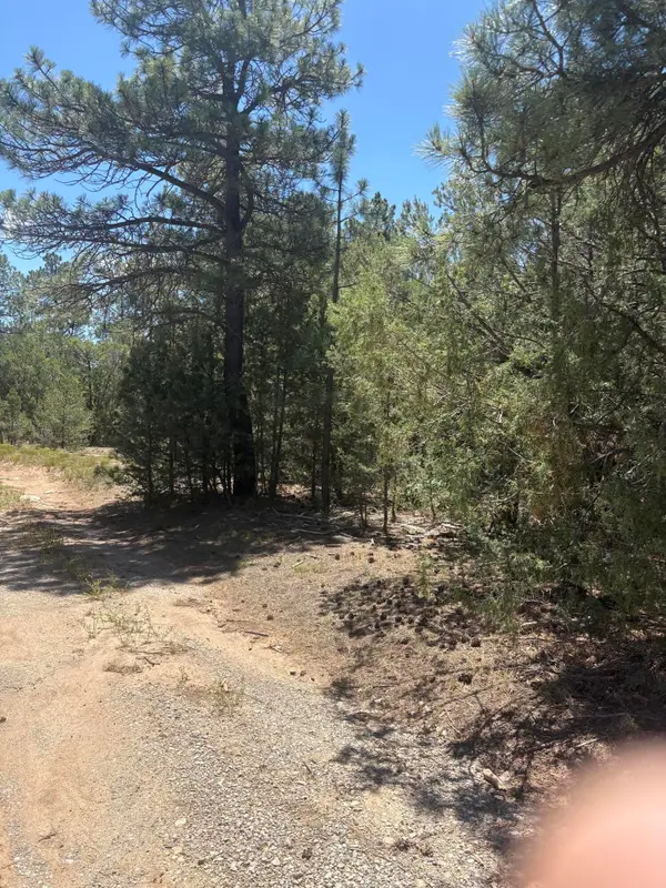 31 Armin Road, Tijeras, NM 87059