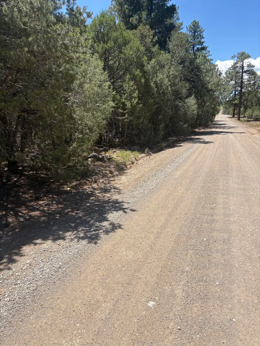 31 Armin Road, Tijeras, NM 87059 - #3