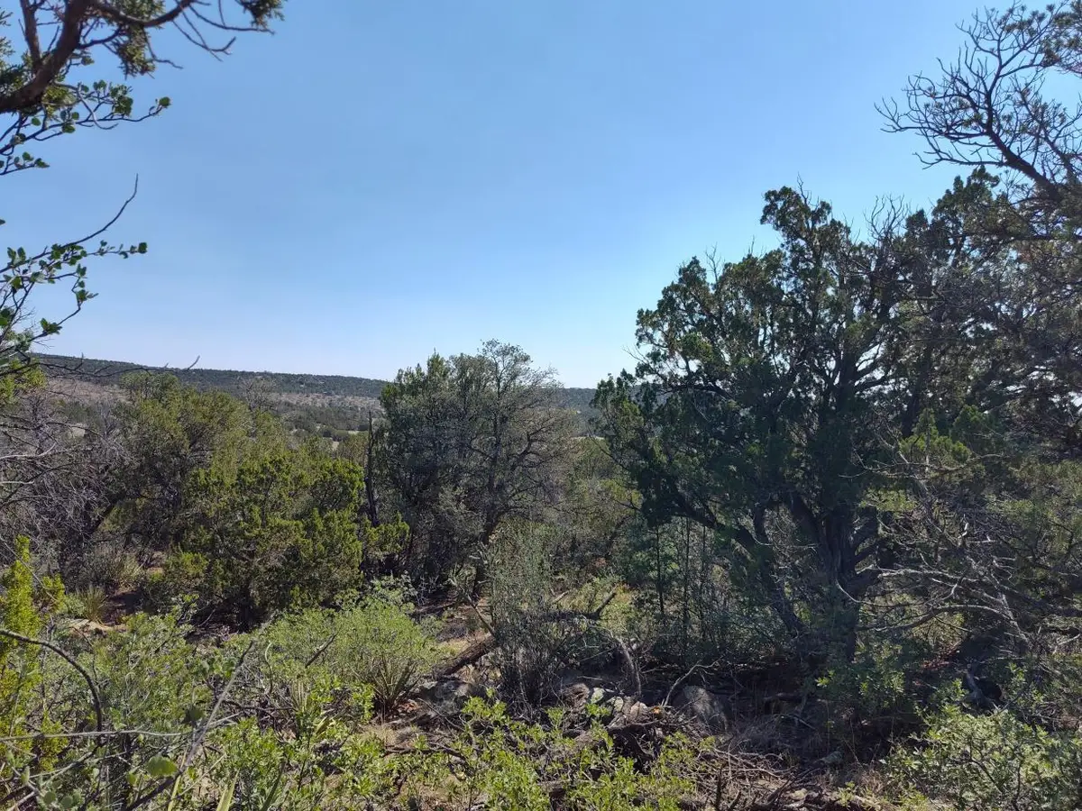 Apple Mountain Rd, Tajique, NM 87016 - #1