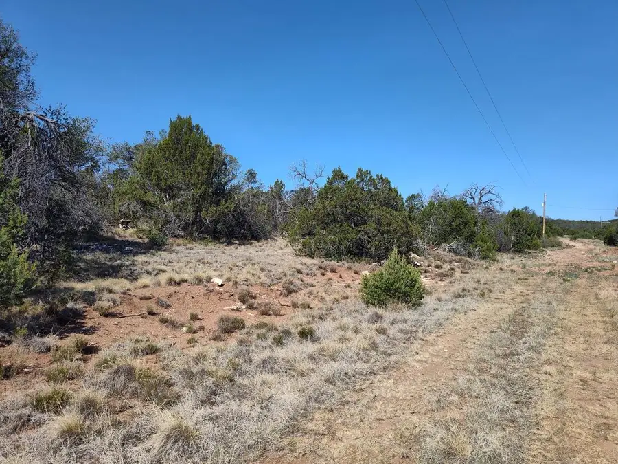 Apple Mountain Rd, Tajique, NM 87016 - #2