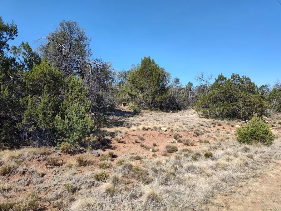 Apple Mountain Rd, Tajique, NM 87016 - #3