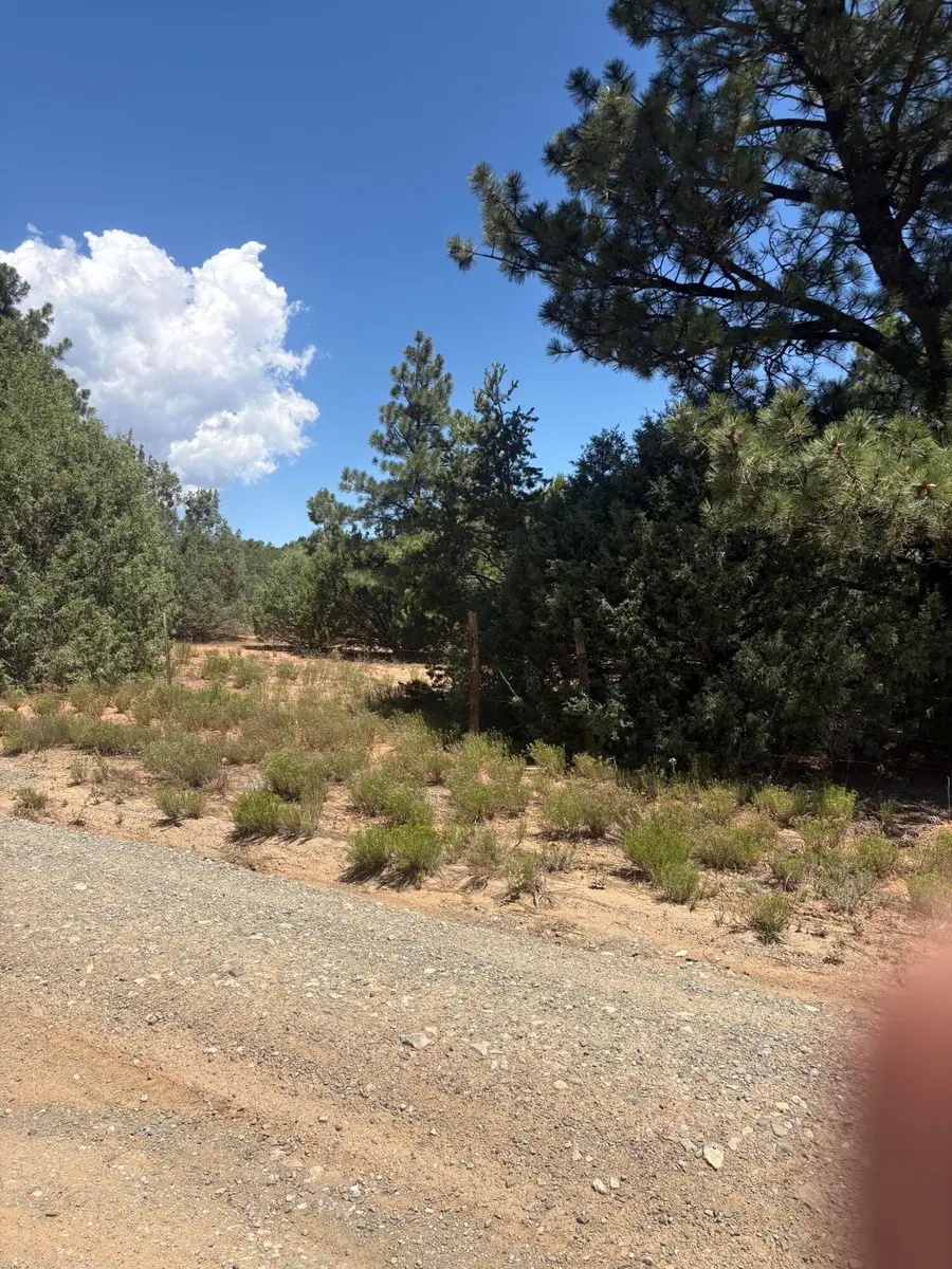 2 Falcon Lane, Tijeras, NM 87059 - #3