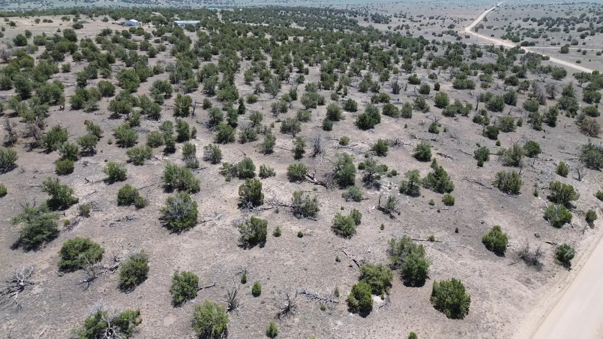 Omega Road #LOT 24, Quemado, NM 87829 - #1
