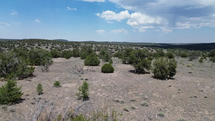 LOT 8 Horseshoe Trail, Quemado, NM 87829 - #3