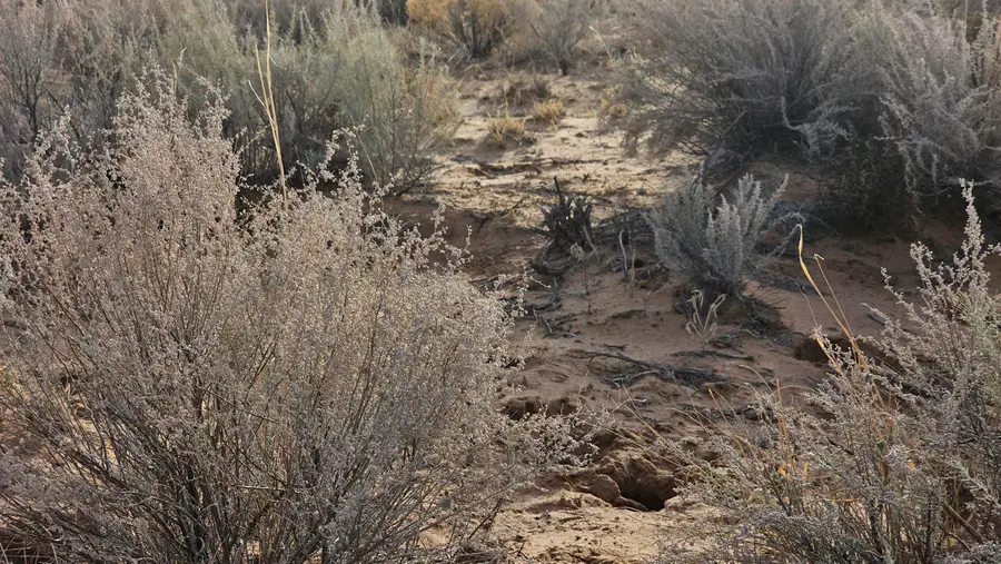 VL Rge Lot 1 Block: 129 #6, Belen, NM 87002 - #3