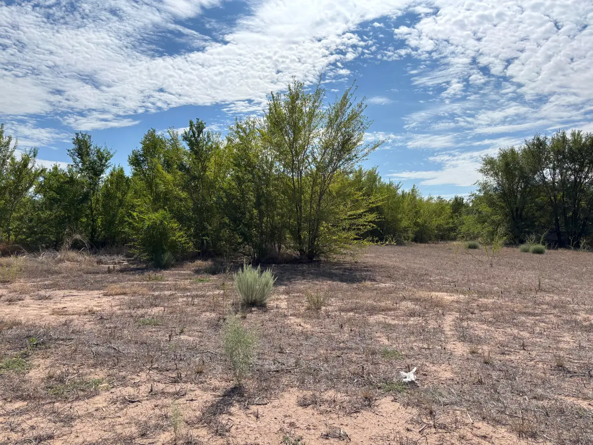 Darla (tract 2) Drive, Los Lunas, NM 87031 - #1