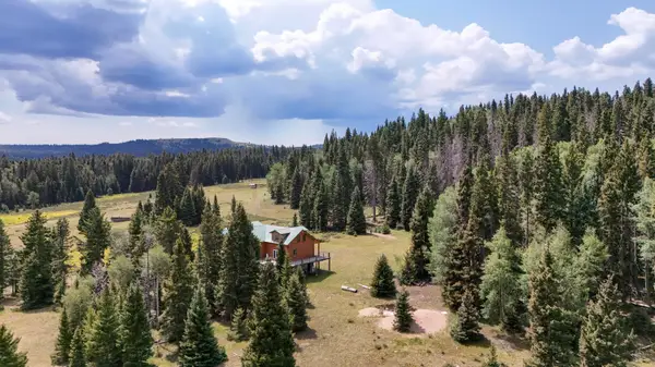 TBD Usfs Road 93, Tres Piedras, NM 87577